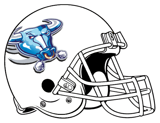 Buffalo Bulls 1997 Helmet Logo t shirts iron on transfers